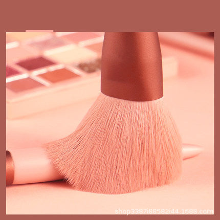 Beauty tool brush for beginners